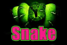 Snake | Slot machines EuroGame